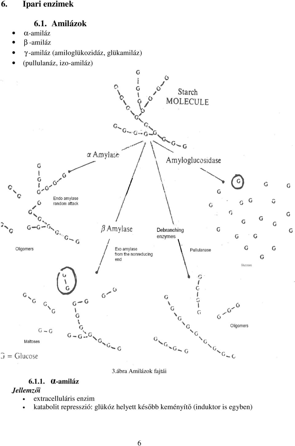 glükamiláz) (pullulanáz, izo-amiláz) 3.ábra Amilázok fajtái 6.1.