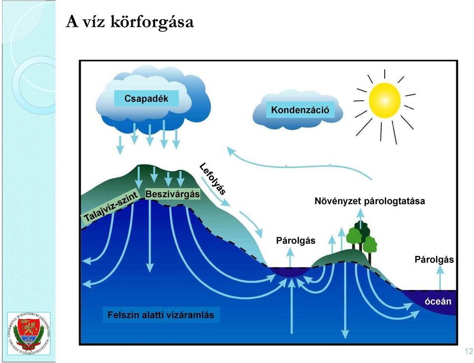 Növényzet párologtatása