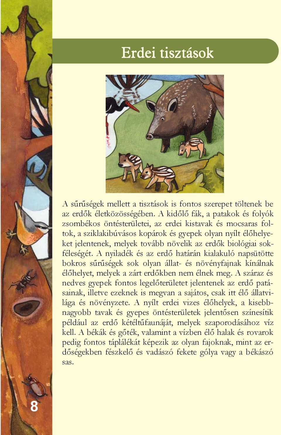 erdők biológiai sokféleségét. A nyiladék és az erdő határán kialakuló napsütötte bokros sűrűségek sok olyan állat- és növényfajnak kínálnak élőhelyet, melyek a zárt erdőkben nem élnek meg.