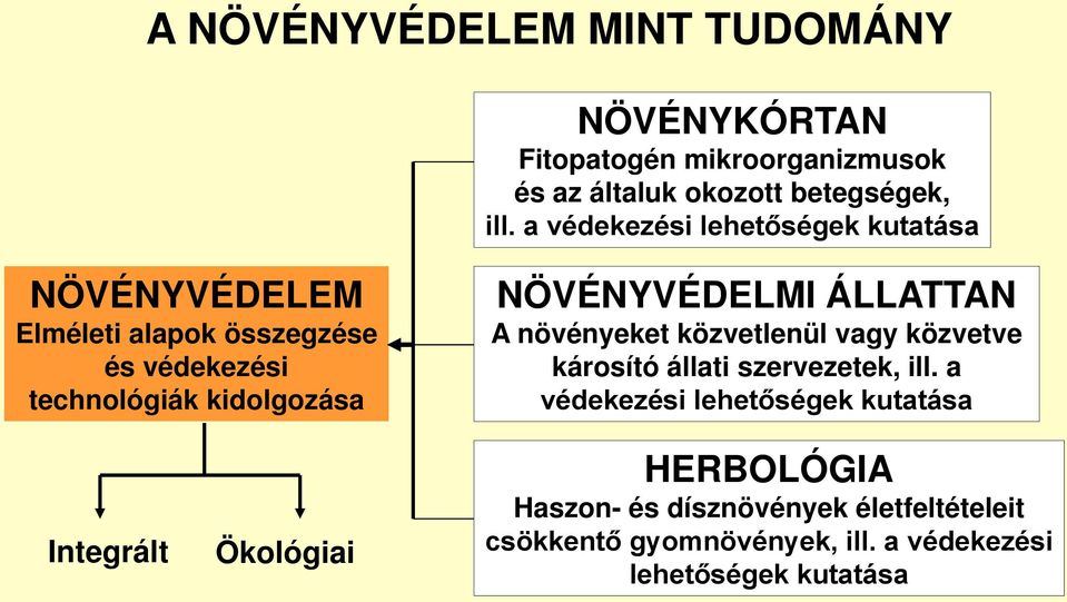 NÖVÉNYVÉDELMI ÁLLATTAN A növényeket közvetlenül vagy közvetve károsító állati szervezetek, ill.