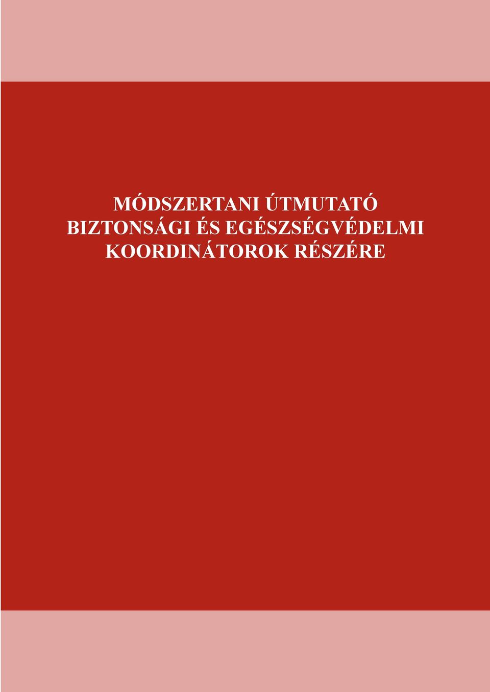 BIZTONSÁGI ÉS