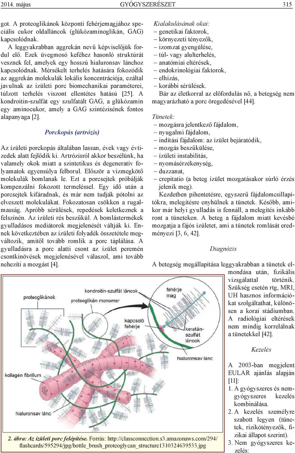 Mérsékelt terhelés hatására fokozódik az aggrekán molekulák lokális koncentrációja, ezáltal javulnak az ízületi porc biomechanikai paraméterei, túlzott terhelés viszont ellentétes hatású [25].