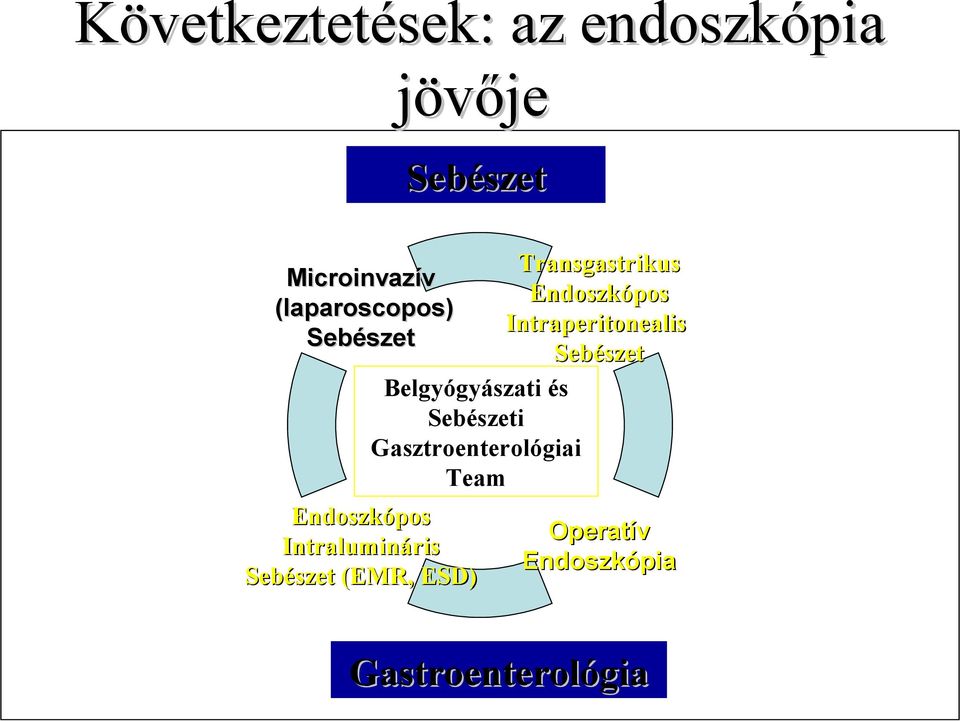 Sebészet Belgyógyászati és Sebészeti Gasztroenterológiai Team