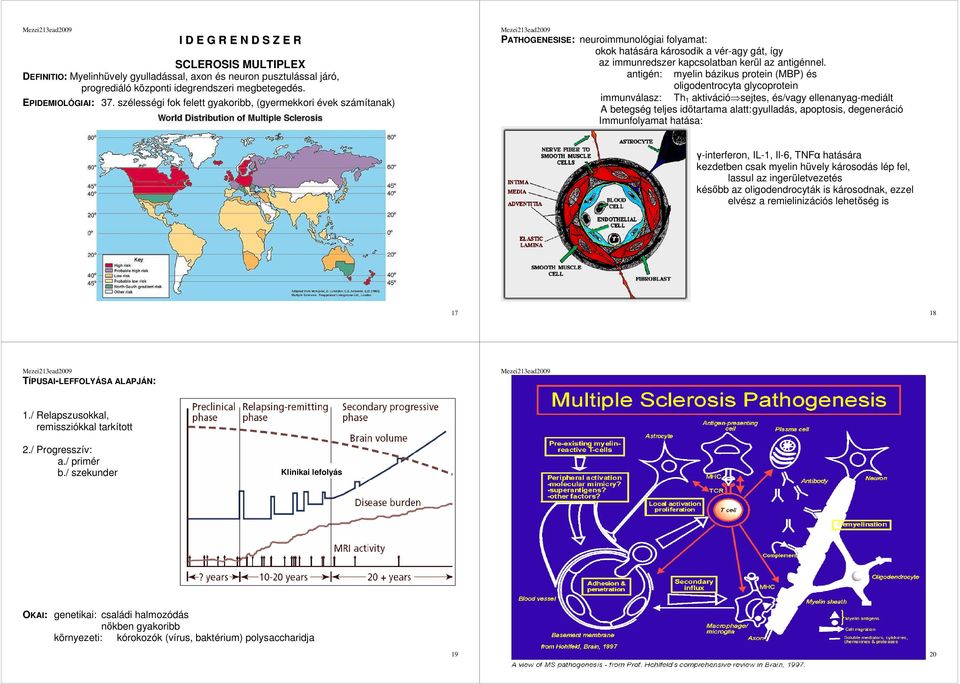 antigén: myelin bázikus protein (MBP) és oligodentrocyta glycoprotein immunválasz: Th 1 aktiváció sejtes, és/vagy ellenanyag-mediált A betegség teljes időtartama alatt: gyulladás, apoptosis,