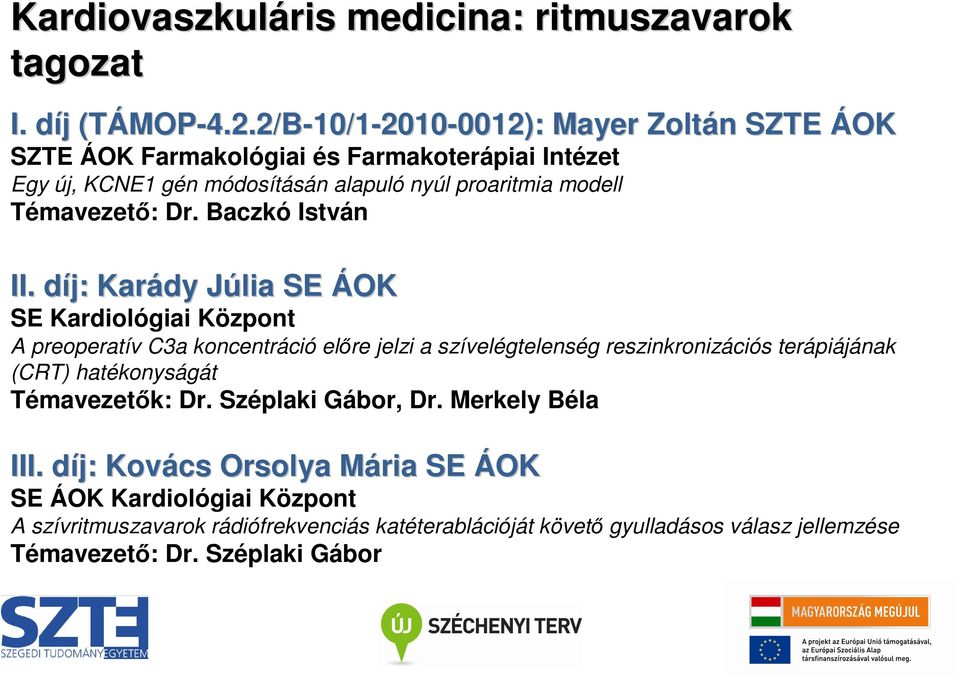 Témavezetı: Dr.