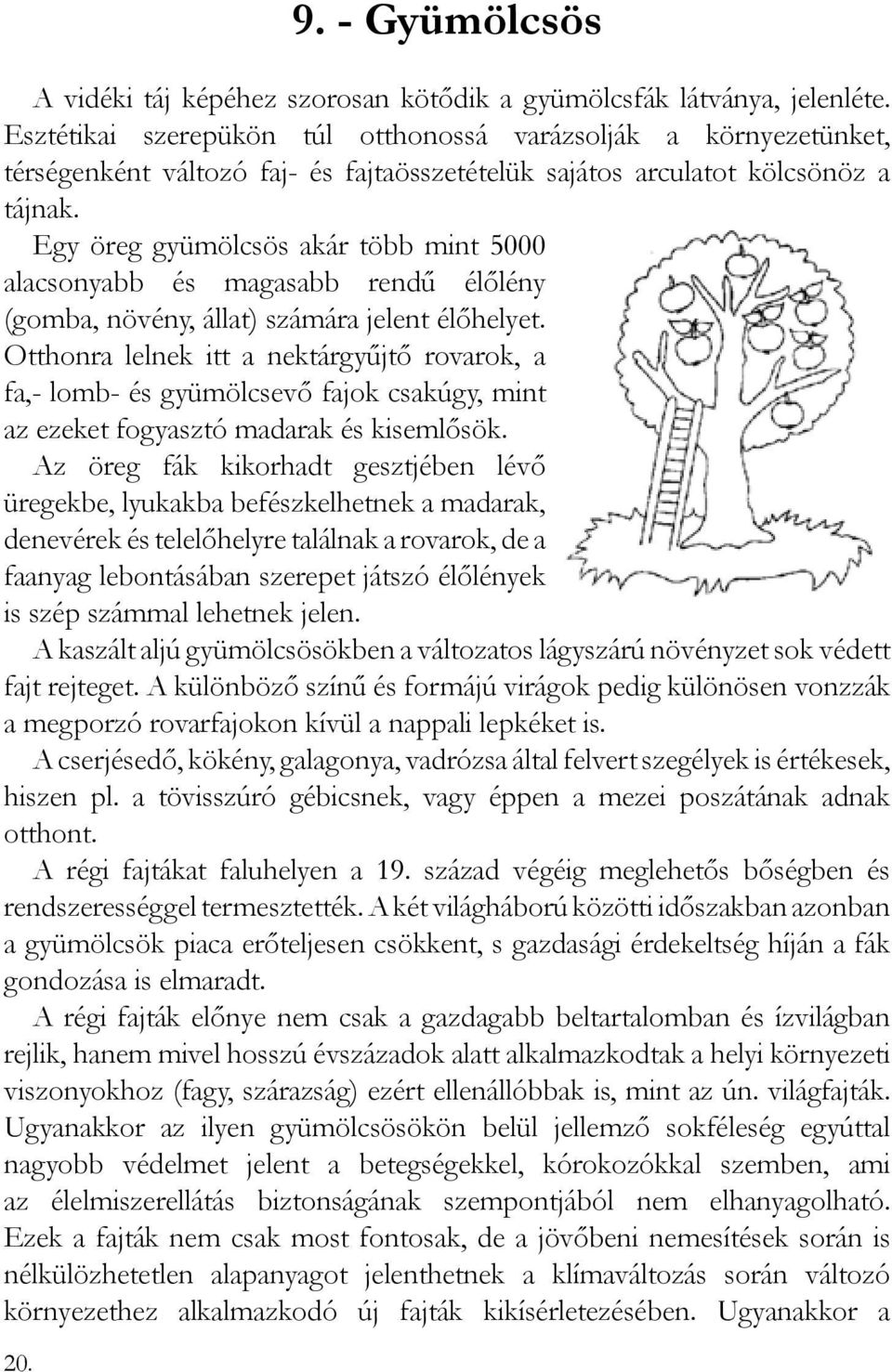 Egy öreg gyümölcsös akár több mint 5000 alacsonyabb és magasabb rendű élőlény (gomba, növény, állat) számára jelent élőhelyet.