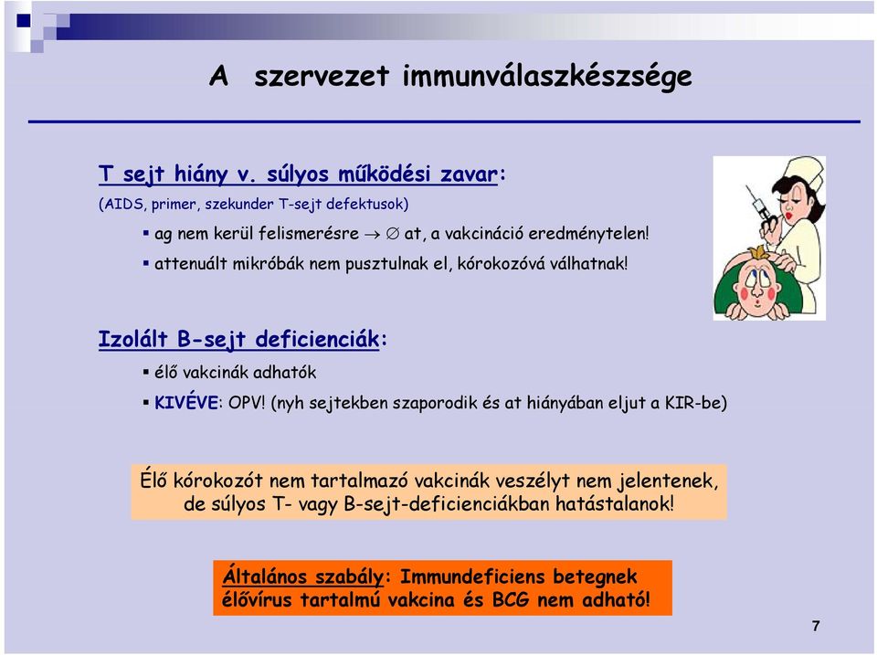 attenuált mikróbák nem pusztulnak el, kórokozóvá válhatnak! Izolált B-sejt deficienciák: élő vakcinák adhatók KIVÉVE: OPV!