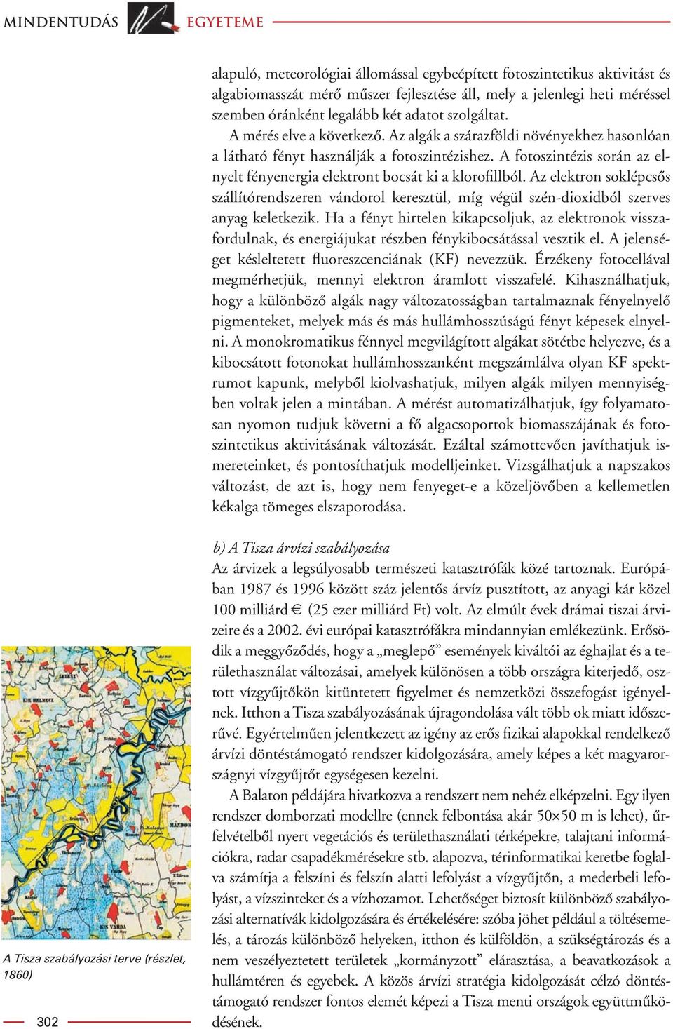 A fotoszintézis során az elnyelt fényenergia elektront bocsát ki a klorofillból. Az elektron soklépcsôs szállítórendszeren vándorol keresztül, míg végül szén-dioxidból szerves anyag keletkezik.