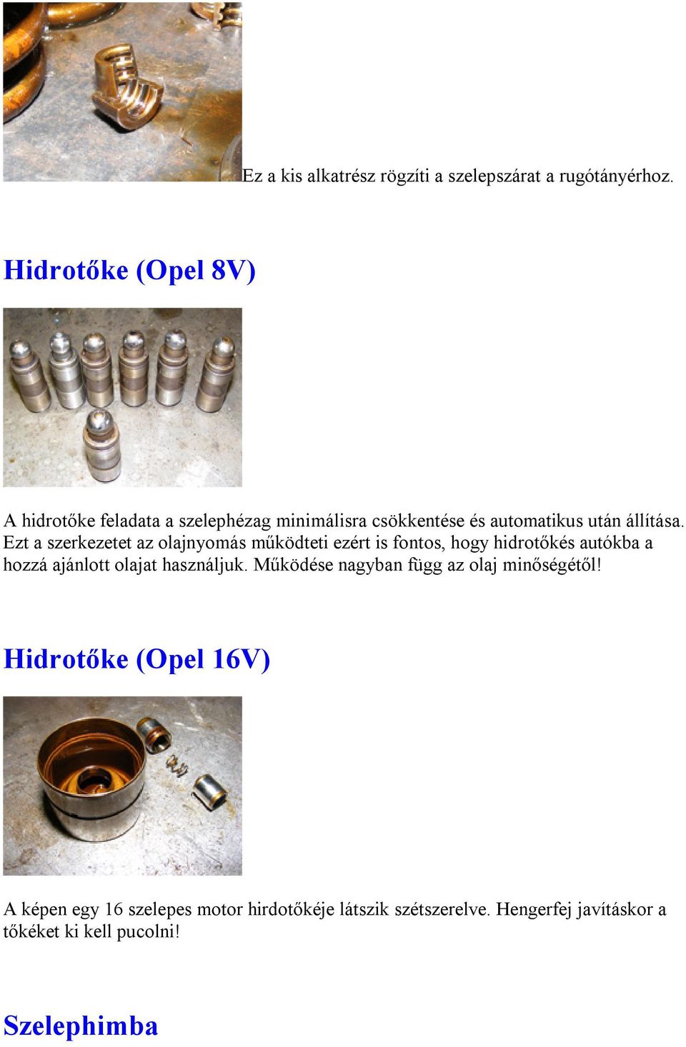 Ezt a szerkezetet az olajnyomás működteti ezért is fontos, hogy hidrotőkés autókba a hozzá ajánlott olajat használjuk.