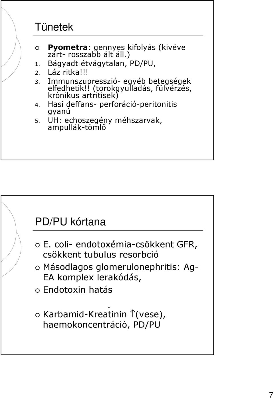 Hasi deffans- perforáció-peritonitis gyanú 5. UH: echoszegény méhszarvak, ampullák-tömlő PD/PU kórtana E.
