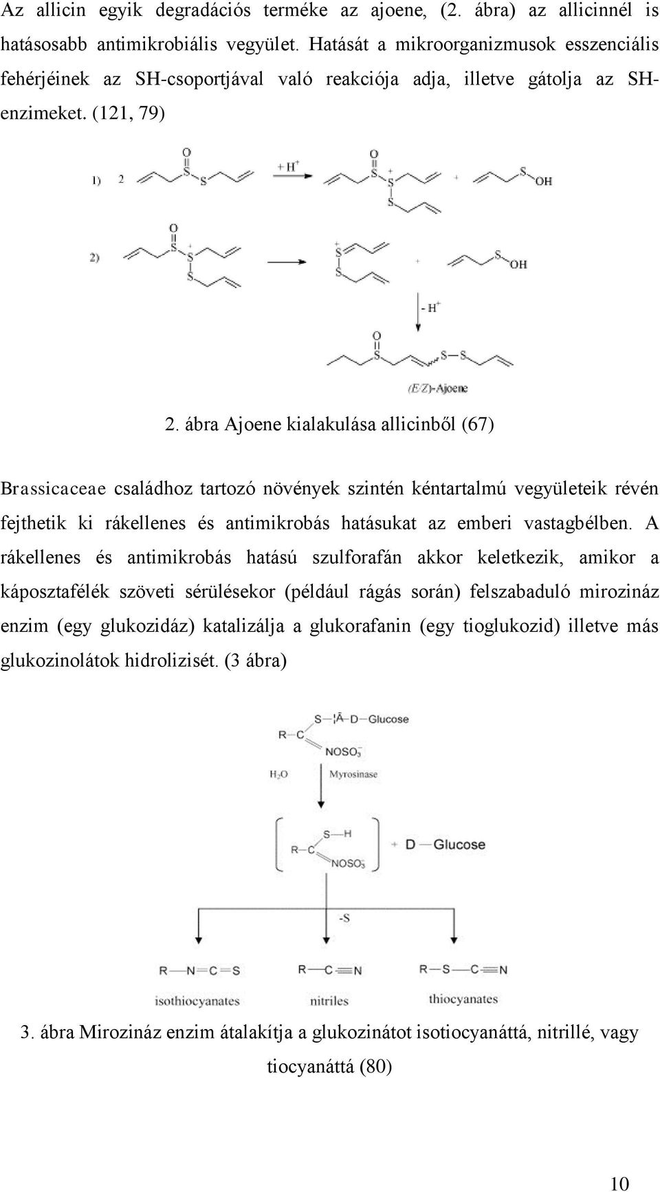 ábra Ajoene kialakulása allicinből (67) Brassicaceae családhoz tartozó növények szintén kéntartalmú vegyületeik révén fejthetik ki rákellenes és antimikrobás hatásukat az emberi vastagbélben.