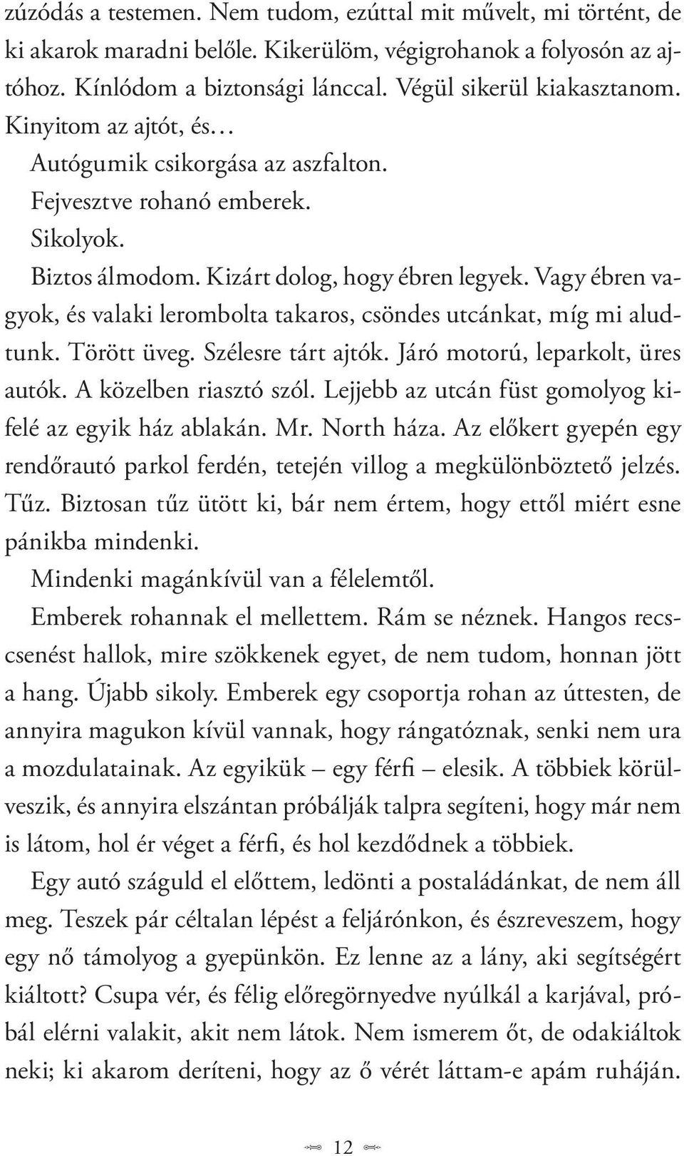 Vagy ébren vagyok, és valaki lerombolta takaros, csöndes utcánkat, míg mi aludtunk. Törött üveg. Szélesre tárt ajtók. Járó motorú, leparkolt, üres autók. A közelben riasztó szól.