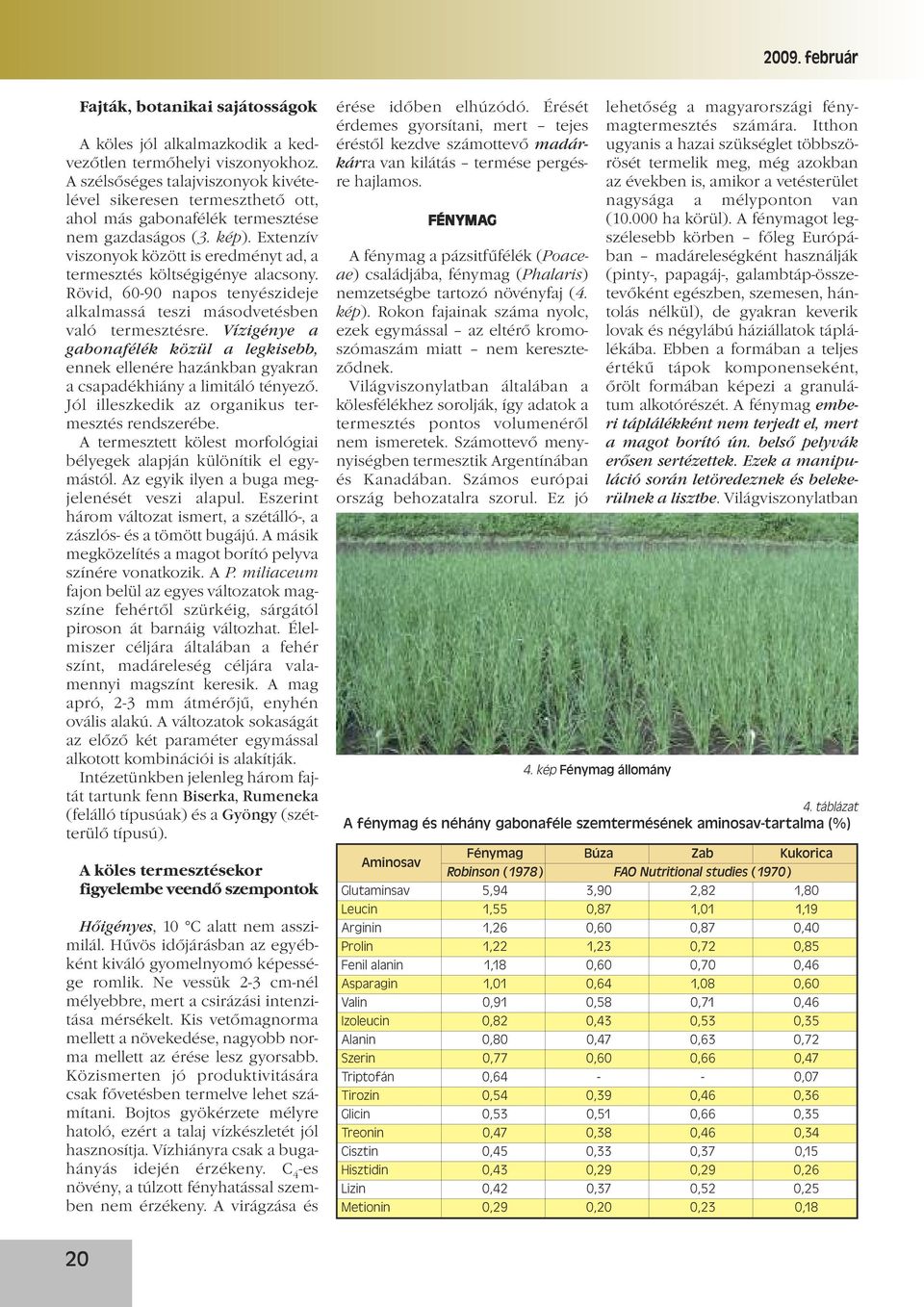 Extenzív viszonyok között is eredményt ad, a termesztés költségigénye alacsony. Rövid, 60-90 napos tenyészideje alkalmassá teszi másodvetésben való termesztésre.