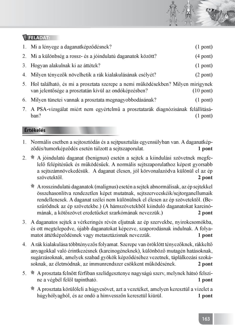 Milyen mirigynek van jelentősége a prosztatán kívül az ondóképzésben? (10 pont) Milyen tünetei vannak a prosztata megnagyobbodásának?