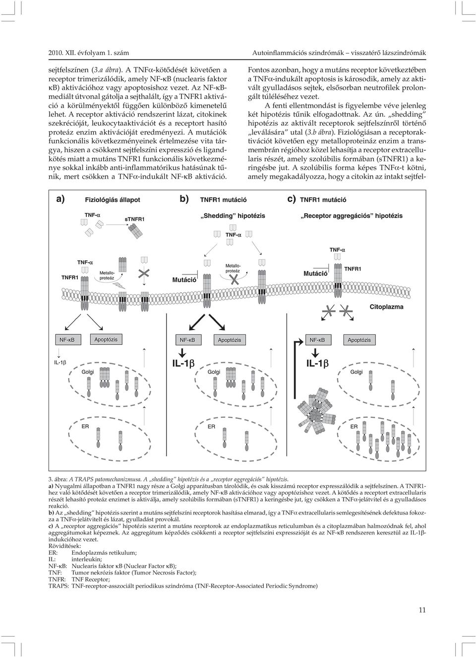 A receptor aktiváció rendszerint lázat, citokinek szekrécióját, leukocytaaktivációt és a receptort hasító proteáz enzim aktivációját eredményezi.