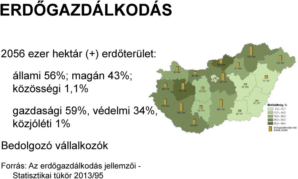 védelmi 34%, közjóléti 1% Bedolgozó vállalkozók