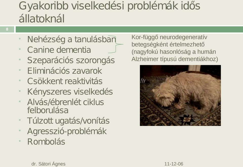 Alvás/ébrenlét ciklus felborulása Túlzott ugatás/vonítás Agresszió-problémák Rombolás