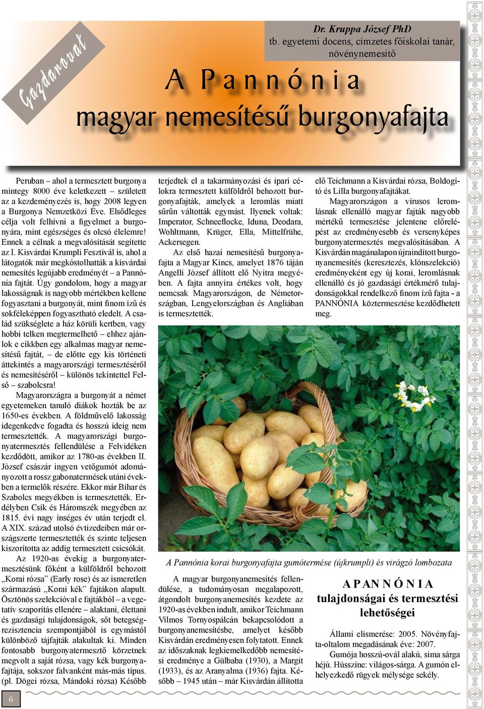 legyen a Burgonya Nemzetközi Éve. Elsődleges célja volt felhívni a figyelmet a burgonyára, mint egészséges és olcsó élelemre! Ennek a célnak a megvalósítását segítette az I.