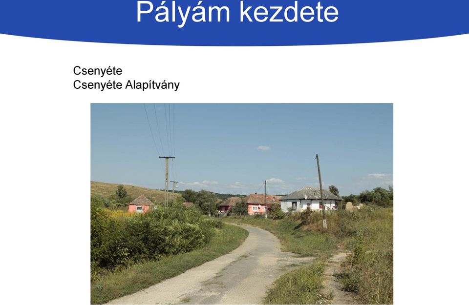 Pályám