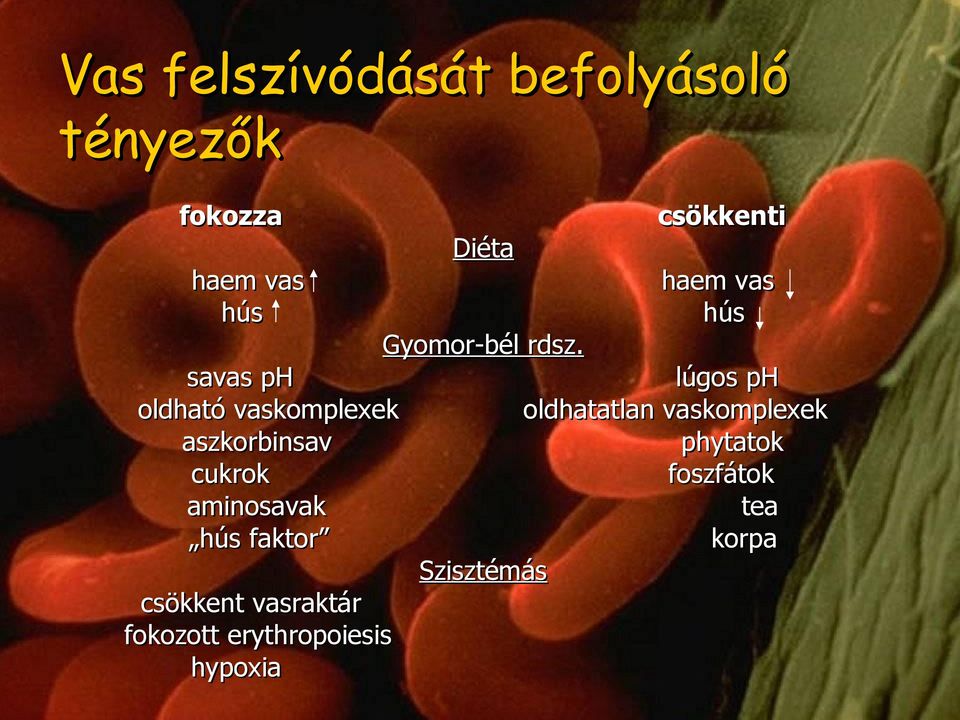 vasraktár fokozott erythropoiesis hypoxia Diéta Gyomor-bél rdsz.