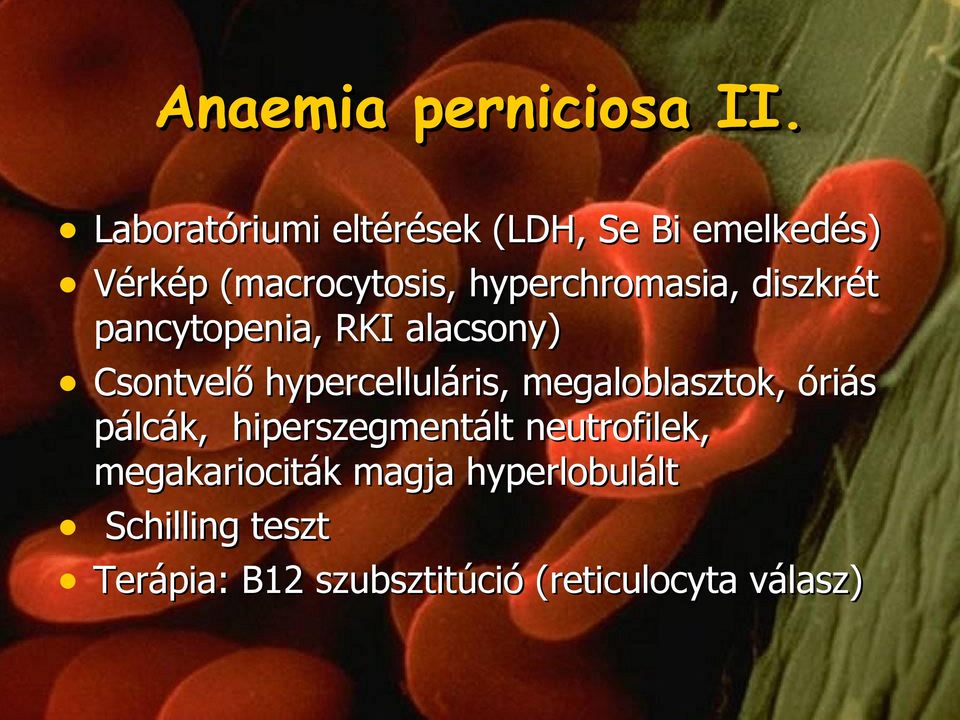 hyperchromasia, diszkrét pancytopenia, RKI alacsony) Csontvelő hypercelluláris,