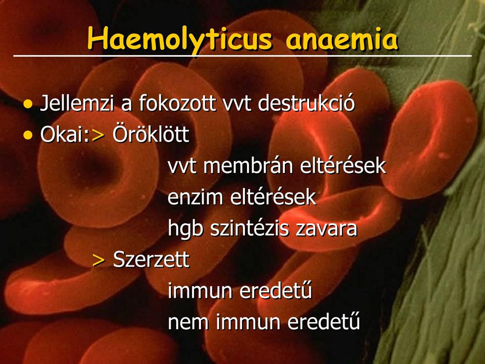 eltérések enzim eltérések hgb szintézis