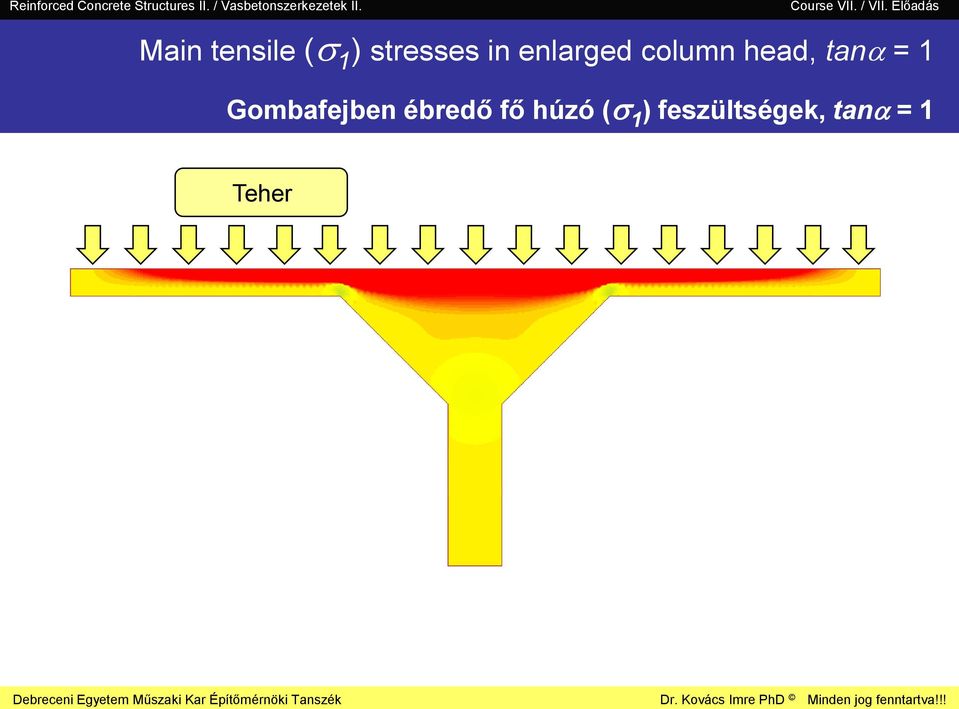 Gombafejben ébredő fő húzó (