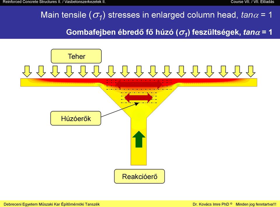 Gombafejben ébredő fő húzó ( )