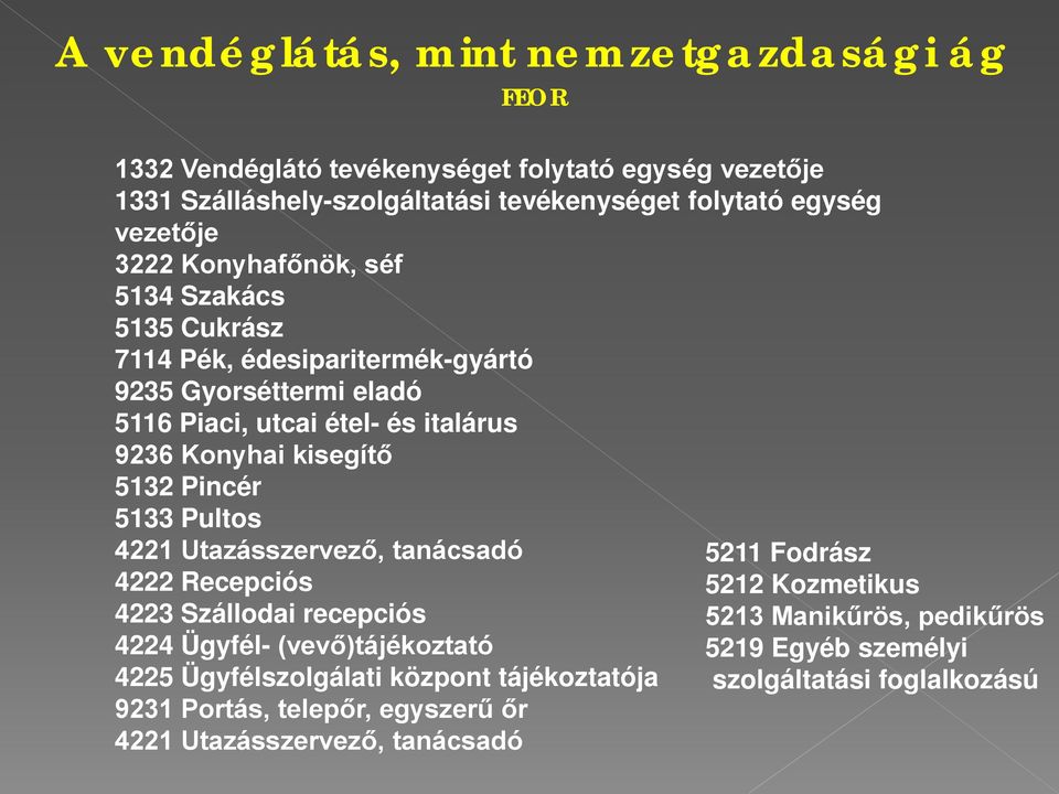 kisegítő 5132 Pincér 5133 Pultos 4221 Utazásszervező, tanácsadó 4222 Recepciós 4223 Szállodai recepciós 4224 Ügyfél- (vevő)tájékoztató 4225 Ügyfélszolgálati központ