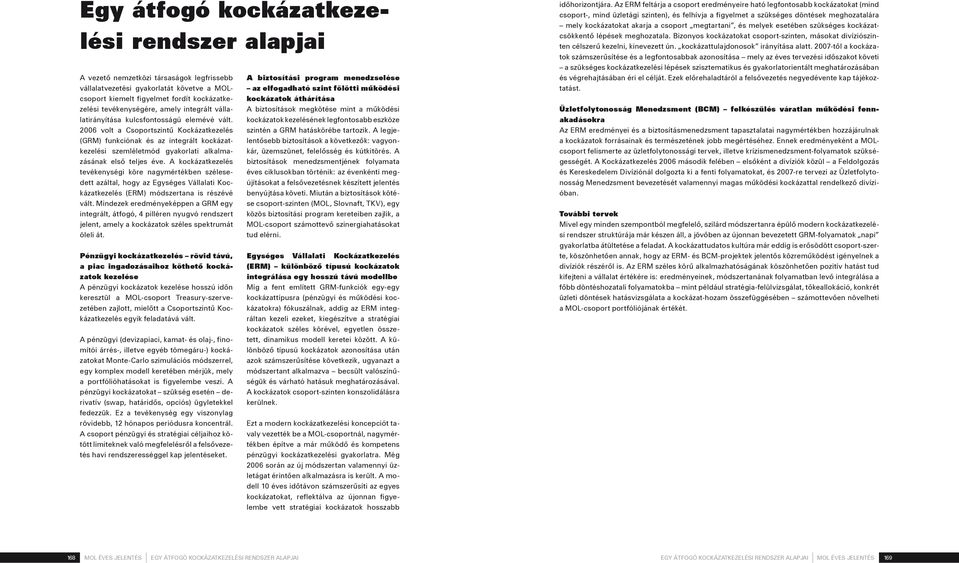 2006 volt a Csoportszintű Kockázatkezelés (GRM) funkciónak és az integrált kockázatkezelési szemléletmód gyakorlati alkalmazásának első teljes éve.