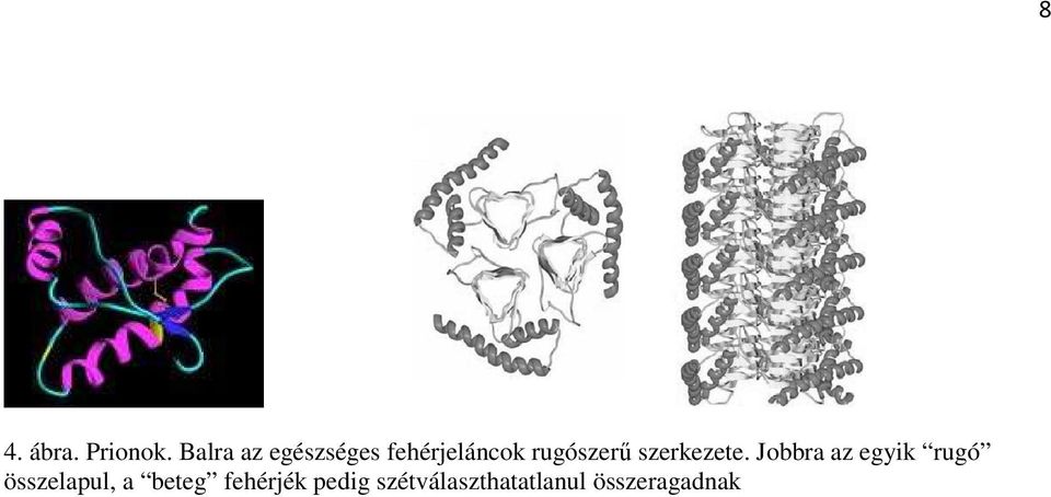 rugószerű szerkezete.