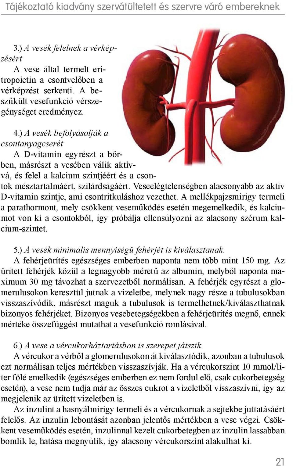 Veseelégtelenségben alacsonyabb az aktív D-vitamin szintje, ami csontritkuláshoz vezethet.