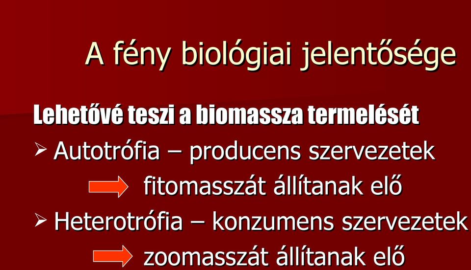 szervezetek fitomasszát állítanak elő