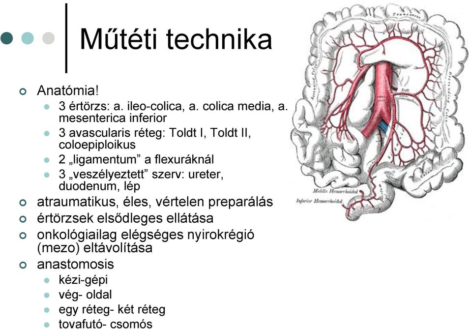 veszélyeztett szerv: ureter, duodenum, lép atraumatikus, éles, vértelen preparálás értörzsek elsődleges