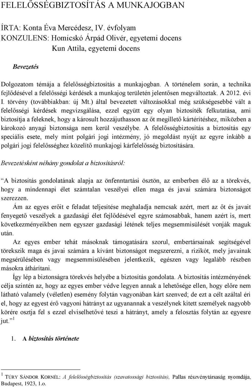 A történelem során, a technika fejlődésével a felelősségi kérdések a munkajog területén jelentősen megváltoztak. A 2012. évi I. törvény (továbbiakban: új Mt.