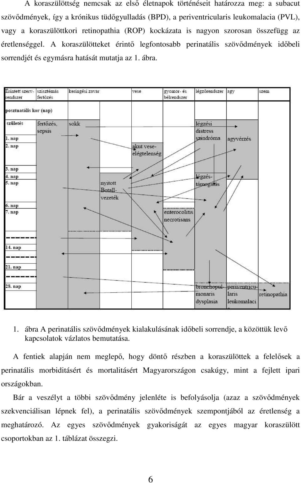 ábra. 1. ábra A perinatális szövıdmények kialakulásának idıbeli sorrendje, a közöttük levı kapcsolatok vázlatos bemutatása.