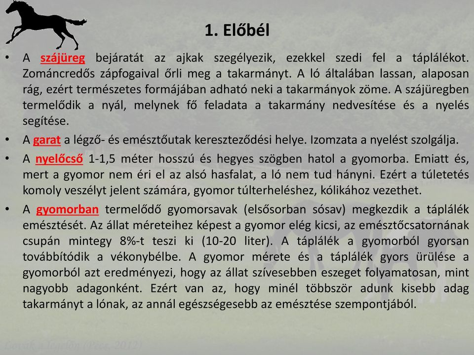 A garat a légző- és emésztőutak kereszteződési helye. Izomzata a nyelést szolgálja. A nyelőcső 1-1,5 méter hosszú és hegyes szögben hatol a gyomorba.