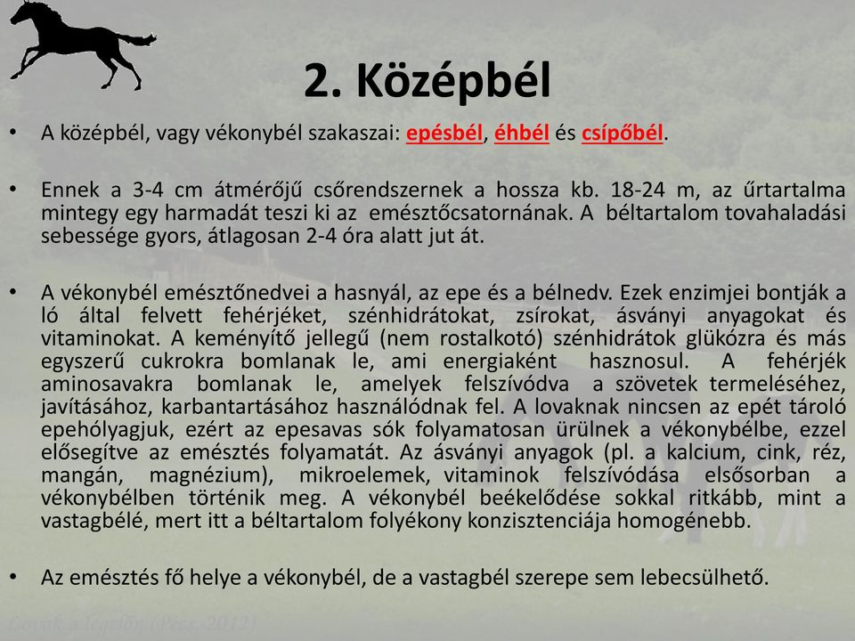 A vékonybél emésztőnedvei a hasnyál, az epe és a bélnedv. Ezek enzimjei bontják a ló által felvett fehérjéket, szénhidrátokat, zsírokat, ásványi anyagokat és vitaminokat.