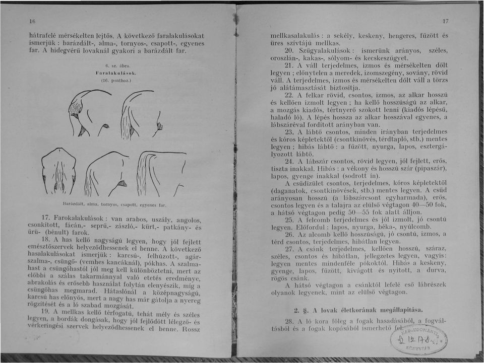 ., 18:, A has kellő nagyságú legyen, hogy jól fejlett emeszloszervek helyeződhessenek el benne. A következő h_asalakulá~?ka,! ismerjük: k~rcs~-, felhúzott-, agárszalma-, ~.