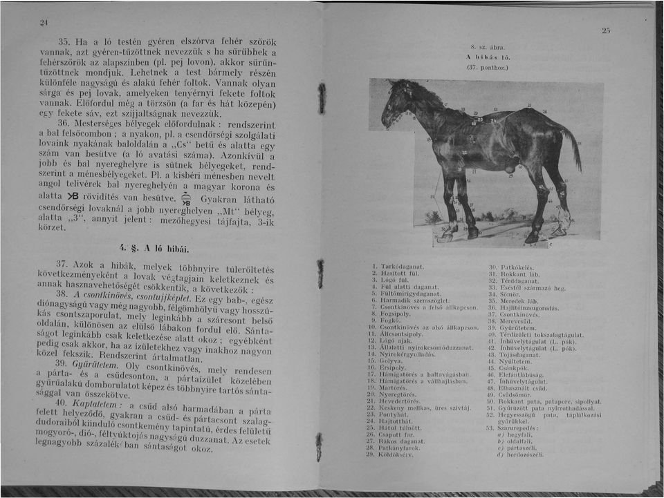 Előfordul még a lörzsön (a far ~S la wzepen e(y fekele sáv, ezt szíjjaltságnak nevezzuk..,. 36 Mesterséces bélyecek előfordulnak: rendszenn t a bal f~lsőcombono; a nyal~on, pl.