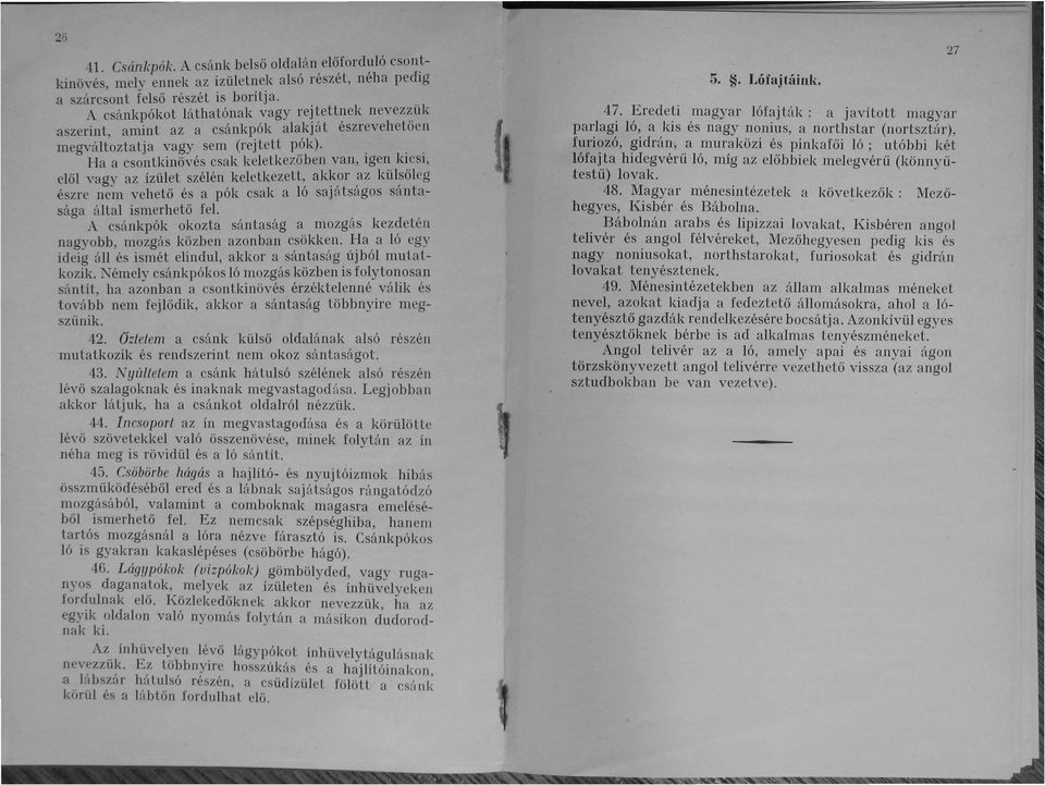 ... Ha a csontkinövés csak keletkezőben van, gen kcs, elől vagy az ízület szélén keletkezett, akkor az külsőleg észre nem vehető és a pók csak a ló sajátságos sántasága által ismerhető fel.