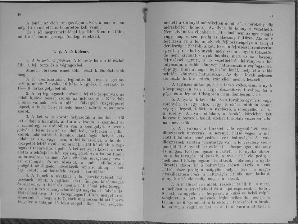 A ló teste három főrészből áll; a fej, törzs és a végtagokból. Minden főrészen ismét több részt különböztetünk meg.