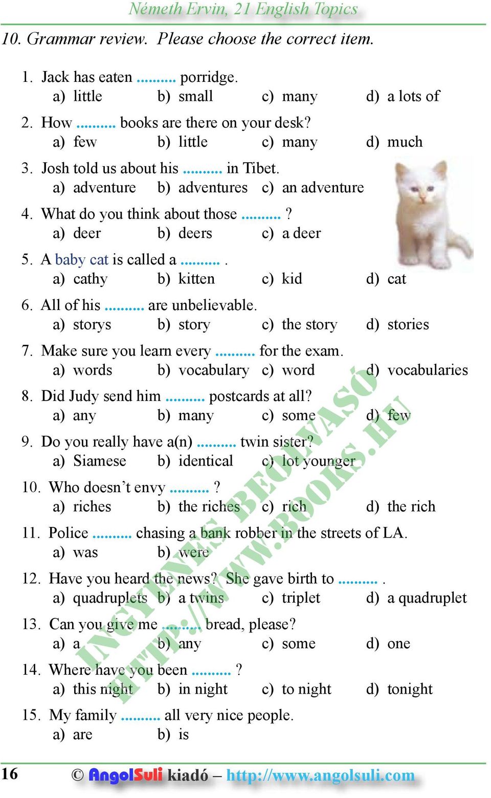 ... a) cathy b) kitten c) kid d) cat 6. All of his... are unbelievable. a) storys b) story c) the story d) stories 7. Make sure you learn every... for the exam.