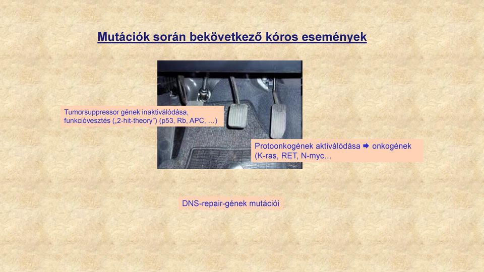 ( 2-hit-theory ) (p53, Rb, APC, ) Protoonkogének