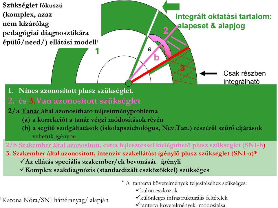 Szakember által azonosított, intenzív szakellátást igénylő plusz szükséglet (SNI-a)* Az ellátás speciális szakember/ek bevonását igényli Komplex szakdiagnózis (standardizált eszközökkel) szükséges a