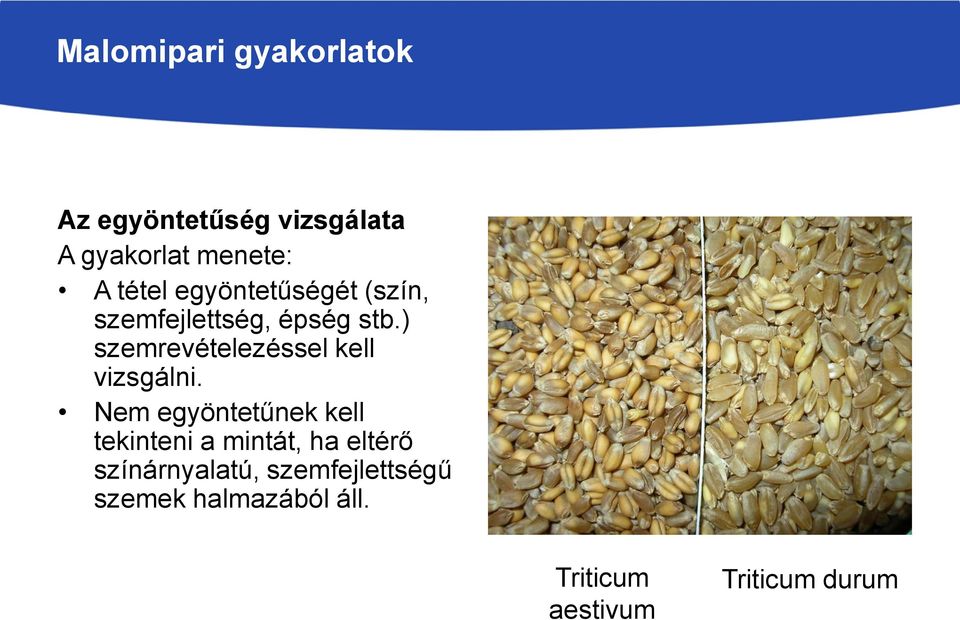 ) szemrevételezéssel kell vizsgálni.