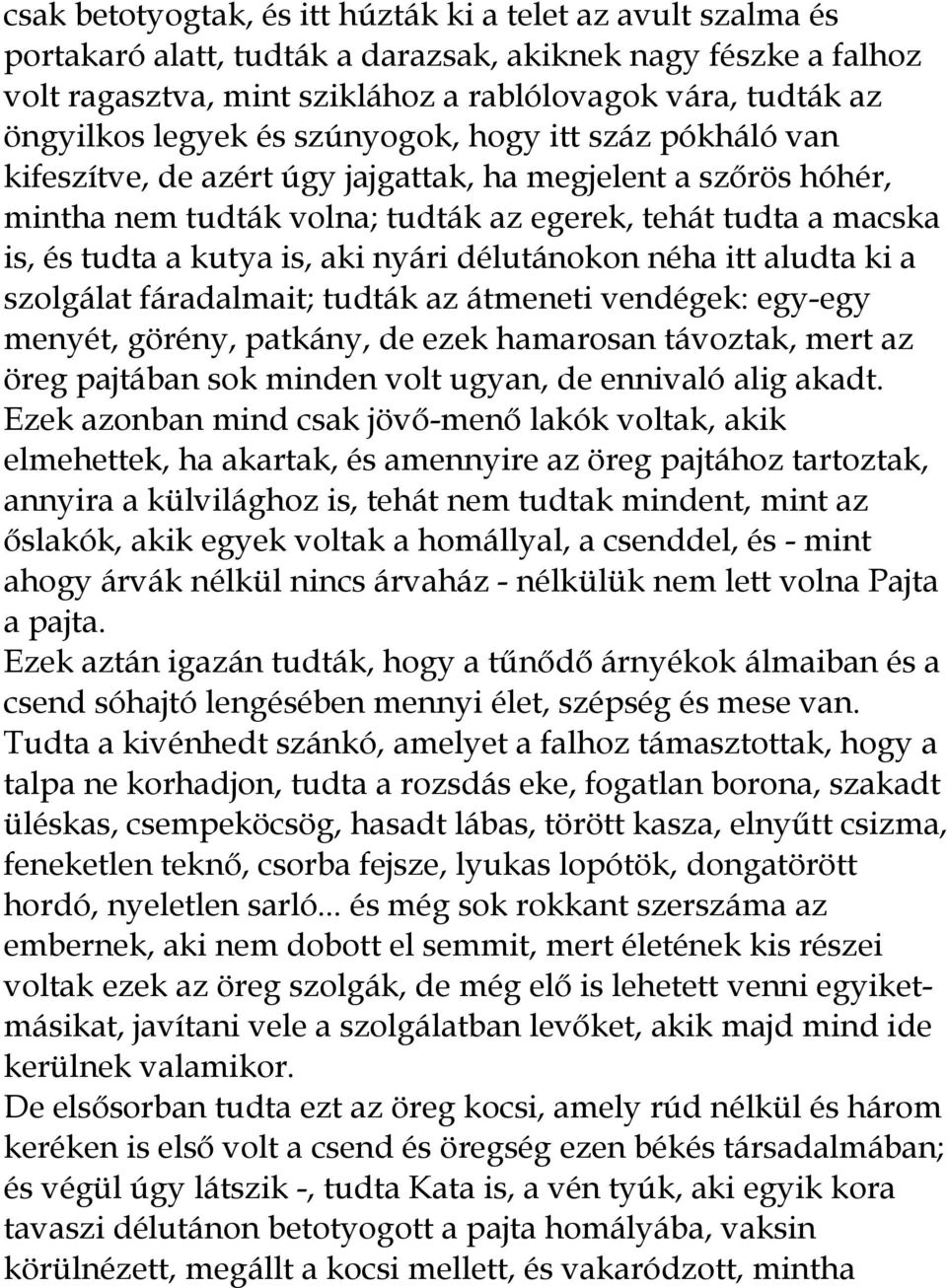 is, aki nyári délutánokon néha itt aludta ki a szolgálat fáradalmait; tudták az átmeneti vendégek: egy-egy menyét, görény, patkány, de ezek hamarosan távoztak, mert az öreg pajtában sok minden volt