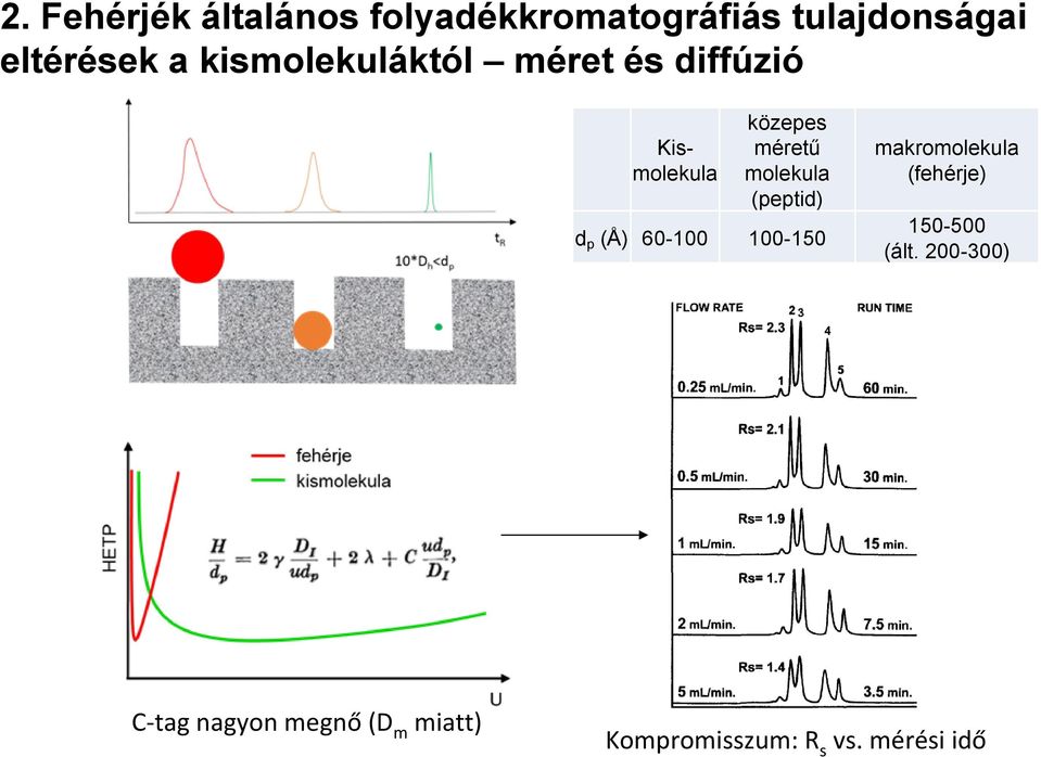 (peptid) d p (Å) 60-100 100-150 makromolekula (fehérje) 150-500 (ált.