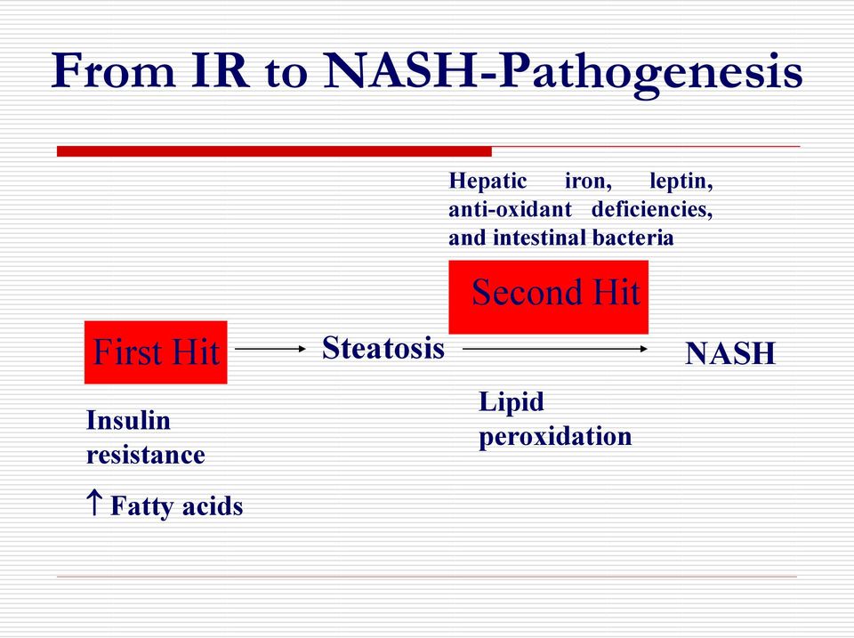 leptin, anti-oxidant deficiencies, and