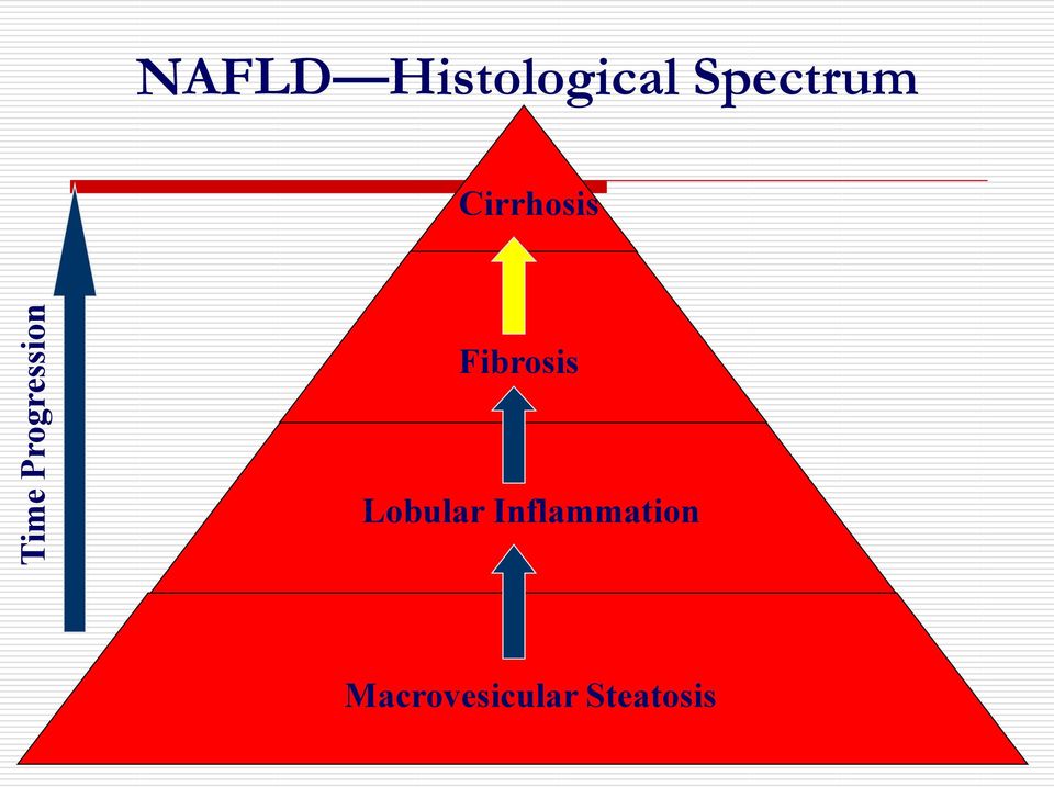 Cirrhosis Fibrosis Lobular